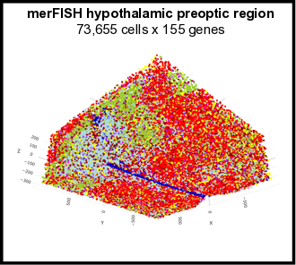 _images/merFISH_hypoth_image_summary.png